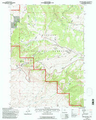 Medicine Wheel Wyoming Historical topographic map, 1:24000 scale, 7.5 X 7.5 Minute, Year 1993