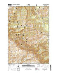 Medicine Wheel Wyoming Current topographic map, 1:24000 scale, 7.5 X 7.5 Minute, Year 2015