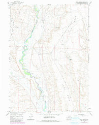 Mesa Spring Wyoming Historical topographic map, 1:24000 scale, 7.5 X 7.5 Minute, Year 1964