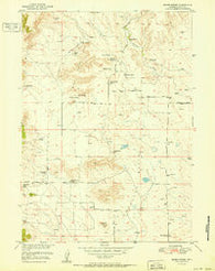 Moore Spring Wyoming Historical topographic map, 1:24000 scale, 7.5 X 7.5 Minute, Year 1951