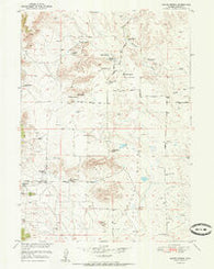 Moore Spring Wyoming Historical topographic map, 1:24000 scale, 7.5 X 7.5 Minute, Year 1951