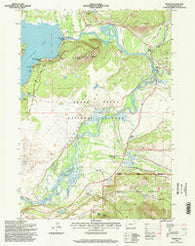 Moran Wyoming Historical topographic map, 1:24000 scale, 7.5 X 7.5 Minute, Year 1996