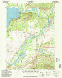 Moran Wyoming Historical topographic map, 1:24000 scale, 7.5 X 7.5 Minute, Year 1996