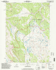 Mosquito Lake Wyoming Historical topographic map, 1:24000 scale, 7.5 X 7.5 Minute, Year 1996