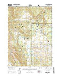 Mosquito Lake Wyoming Current topographic map, 1:24000 scale, 7.5 X 7.5 Minute, Year 2015