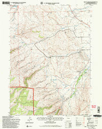 Mount Arter SE Wyoming Historical topographic map, 1:24000 scale, 7.5 X 7.5 Minute, Year 1991
