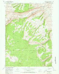 Mount Arter Wyoming Historical topographic map, 1:24000 scale, 7.5 X 7.5 Minute, Year 1953