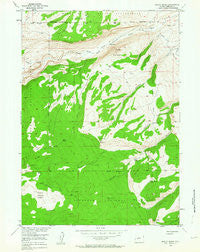 Mount Arter Wyoming Historical topographic map, 1:24000 scale, 7.5 X 7.5 Minute, Year 1953