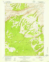 Mount Arter Wyoming Historical topographic map, 1:24000 scale, 7.5 X 7.5 Minute, Year 1953