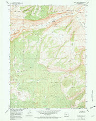 Mount Arter Wyoming Historical topographic map, 1:24000 scale, 7.5 X 7.5 Minute, Year 1953