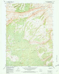 Mount Arter Wyoming Historical topographic map, 1:24000 scale, 7.5 X 7.5 Minute, Year 1953