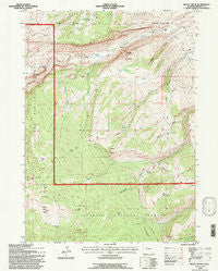 Mount Arter Wyoming Historical topographic map, 1:24000 scale, 7.5 X 7.5 Minute, Year 1991