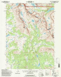 Mount Bonneville Wyoming Historical topographic map, 1:24000 scale, 7.5 X 7.5 Minute, Year 1991