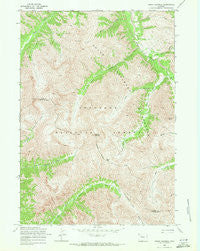 Mount Burwell Wyoming Historical topographic map, 1:24000 scale, 7.5 X 7.5 Minute, Year 1969