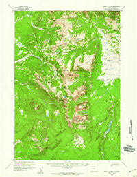 Mount Holmes Wyoming Historical topographic map, 1:62500 scale, 15 X 15 Minute, Year 1958