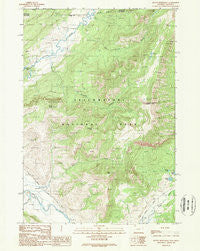Mount Hornaday Wyoming Historical topographic map, 1:24000 scale, 7.5 X 7.5 Minute, Year 1989