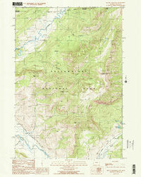Mount Hornaday Wyoming Historical topographic map, 1:24000 scale, 7.5 X 7.5 Minute, Year 1989