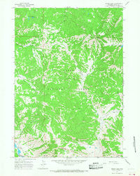 Mount Leidy Wyoming Historical topographic map, 1:24000 scale, 7.5 X 7.5 Minute, Year 1965
