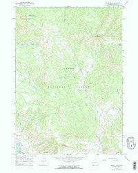 Mount Leidy Wyoming Historical topographic map, 1:24000 scale, 7.5 X 7.5 Minute, Year 1965