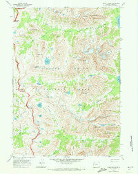 Mount Moran Wyoming Historical topographic map, 1:24000 scale, 7.5 X 7.5 Minute, Year 1968