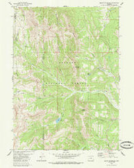 Mount Schideler Wyoming Historical topographic map, 1:24000 scale, 7.5 X 7.5 Minute, Year 1980
