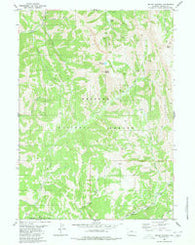 Mount Wagner Wyoming Historical topographic map, 1:24000 scale, 7.5 X 7.5 Minute, Year 1980