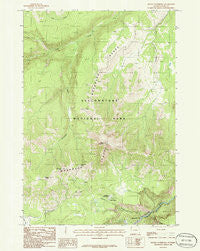 Mount Washburn Wyoming Historical topographic map, 1:24000 scale, 7.5 X 7.5 Minute, Year 1986