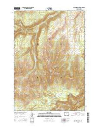 Mount Washburn Wyoming Current topographic map, 1:24000 scale, 7.5 X 7.5 Minute, Year 2015