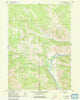 Munger Mountain Wyoming Historical topographic map, 1:24000 scale, 7.5 X 7.5 Minute, Year 1963