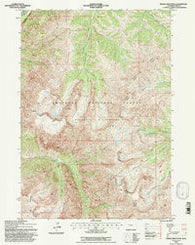 Needle Mountain Wyoming Historical topographic map, 1:24000 scale, 7.5 X 7.5 Minute, Year 1991