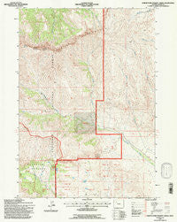 North Fork Pickett Creek Wyoming Historical topographic map, 1:24000 scale, 7.5 X 7.5 Minute, Year 1991