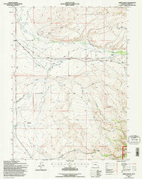 Oberg Ranch Wyoming Historical topographic map, 1:24000 scale, 7.5 X 7.5 Minute, Year 1992
