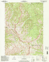 Observation Peak Wyoming Historical topographic map, 1:24000 scale, 7.5 X 7.5 Minute, Year 1996
