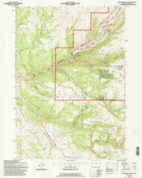Old Maid Gulch Wyoming Historical topographic map, 1:24000 scale, 7.5 X 7.5 Minute, Year 1993