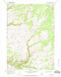 Onion Gulch Wyoming Historical topographic map, 1:24000 scale, 7.5 X 7.5 Minute, Year 1967