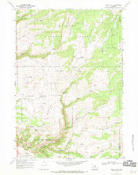 Onion Gulch Wyoming Historical topographic map, 1:24000 scale, 7.5 X 7.5 Minute, Year 1967