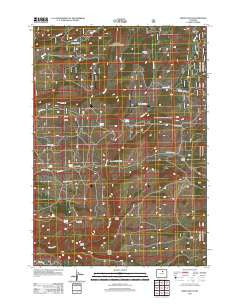 Onion Gulch Wyoming Historical topographic map, 1:24000 scale, 7.5 X 7.5 Minute, Year 2012