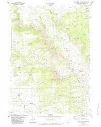 Packsaddle Canyon Wyoming Historical topographic map, 1:24000 scale, 7.5 X 7.5 Minute, Year 1984