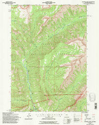Pahaska Tepee Wyoming Historical topographic map, 1:24000 scale, 7.5 X 7.5 Minute, Year 1991