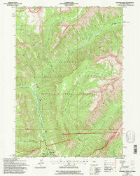 Pahaska Tepee Wyoming Historical topographic map, 1:24000 scale, 7.5 X 7.5 Minute, Year 1991