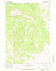 Pass Peak Wyoming Historical topographic map, 1:24000 scale, 7.5 X 7.5 Minute, Year 1966