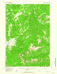 Pelican Cone Wyoming Historical topographic map, 1:62500 scale, 15 X 15 Minute, Year 1959