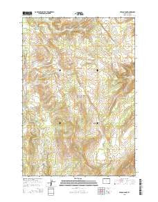 Pelican Cone Wyoming Current topographic map, 1:24000 scale, 7.5 X 7.5 Minute, Year 2015