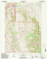 Phelps Mountain Wyoming Historical topographic map, 1:24000 scale, 7.5 X 7.5 Minute, Year 1991