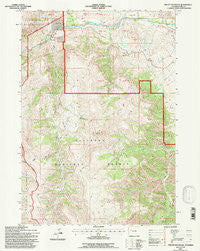 Phelps Mountain Wyoming Historical topographic map, 1:24000 scale, 7.5 X 7.5 Minute, Year 1991