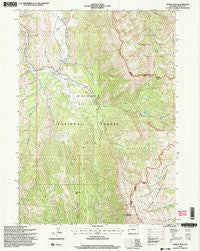 Pickle Pass Wyoming Historical topographic map, 1:24000 scale, 7.5 X 7.5 Minute, Year 1996