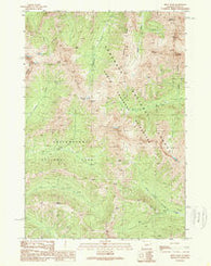 Pilot Peak Wyoming Historical topographic map, 1:24000 scale, 7.5 X 7.5 Minute, Year 1989