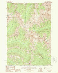 Pilot Peak Wyoming Historical topographic map, 1:24000 scale, 7.5 X 7.5 Minute, Year 1989