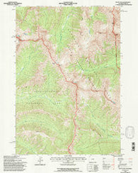 Pilot Peak Wyoming Historical topographic map, 1:24000 scale, 7.5 X 7.5 Minute, Year 1991