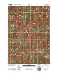 Pilot Peak Wyoming Historical topographic map, 1:24000 scale, 7.5 X 7.5 Minute, Year 2012
